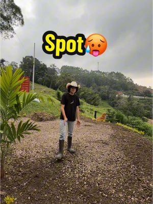 A post by @lagranjadelborrego on TikTok caption: Denle tiempo a la silla😔