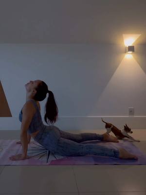 A post by @larissamanoela on TikTok caption: Yoga com amor e lambeijos 🧘‍♀️🐶🙏✨💜 @Doguinhos 
