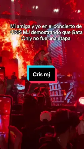 A post by @arii_klaus on TikTok caption: Después de morir aplastadas en la entrada #crismj #gataonly #elmaskesuena 