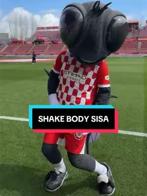 A post by @gironafc on TikTok caption: Els Trends de la SISA ❤️ #gironafc 