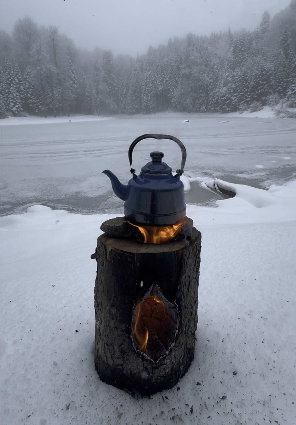 A post by @karadenizli.maceraci on TikTok caption: Buzul gölde kütük ocakta çay 🧊❄️ Tea on a log stove on a glacial lake 🪵☕️ #outdoors #outdoor #wintercamping #camping #kampyeri #wood #bushcraft #survival #nature #natural #forest #woods #adventures 