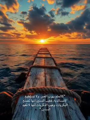A post by @ on TikTok