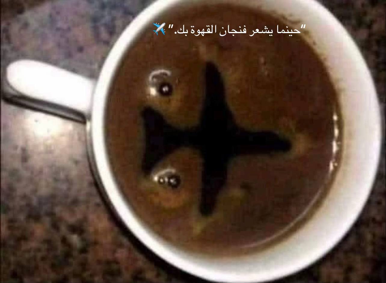 A post by @ on TikTok