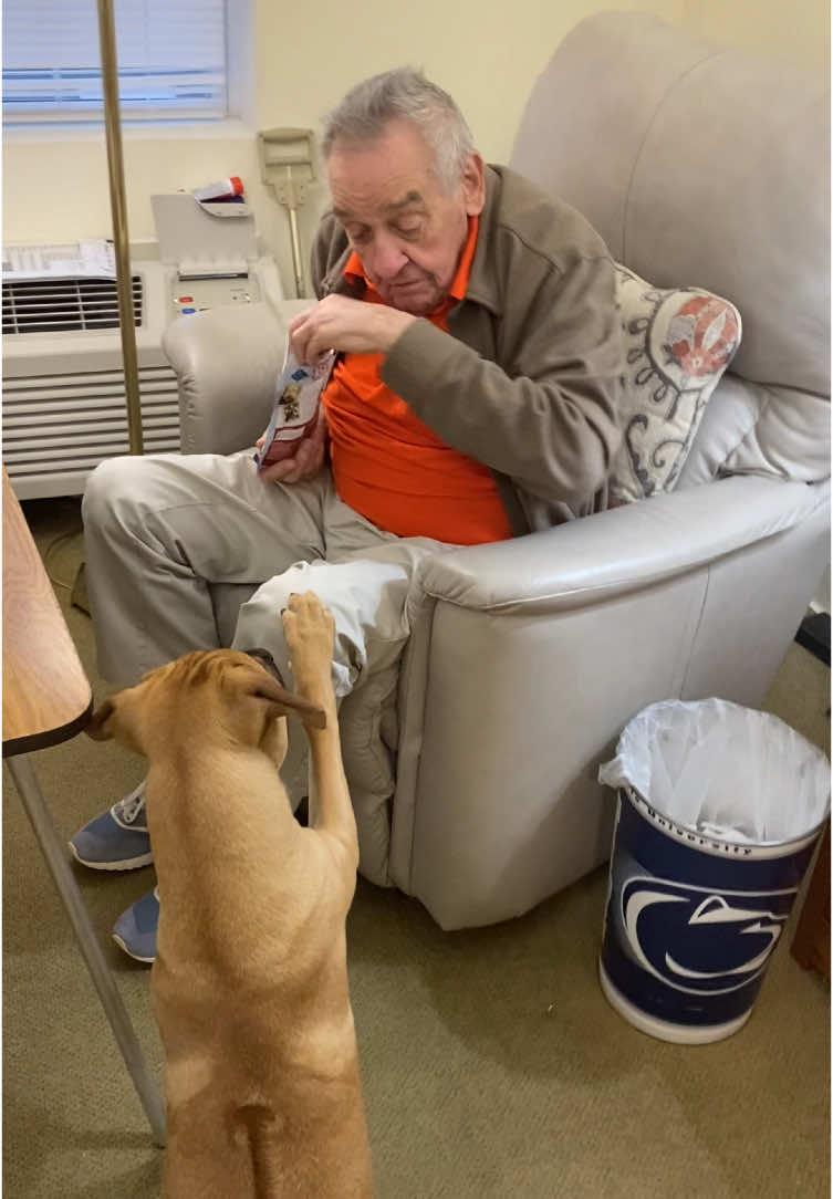 A post by @mikkiraymond on TikTok caption: Pop & the Pup 