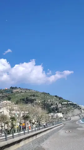 A post by @tarequechowdhury on TikTok