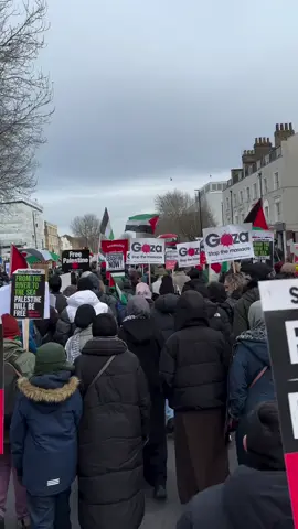 A post by @taz1518 on TikTok caption: Free Free #palestine 
