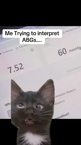 A post by @ on TikTok caption: #Meme #MemeCut @Tish Mckenna 