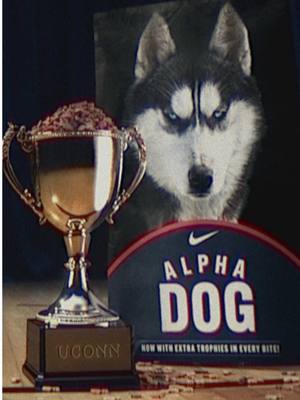 A post by @nike on TikTok caption: Top dogs. @UConn Women’s Basketball 