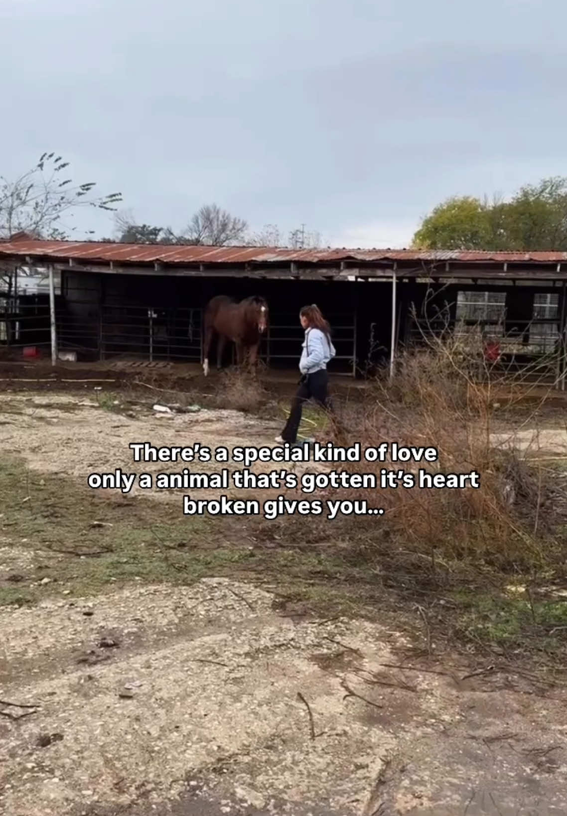 A post by @rachellhague on TikTok caption: In the Rescue world it’s so common that we get called out to help one animal, and that mission leads to finding many many more in need sometimes of all shapes and sizes.  So often in these moments you can tell, They haven’t forget what they’ve been through. You can see it in the way they flinch. The way they hesitate before leaning in. But even then..  They choose to trust.  It’s the kind of love that makes you stop and feel everything. To the broken spirits who still choose softness You are the bravest kind of beautiful. 🤍 #animalrescue #horserescue #dogrescue 