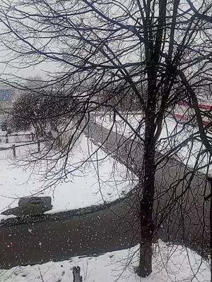 A post by @__kupriynova__ on TikTok caption: #снегамногонебывает❄❄❄☃️ #снегвапреле 