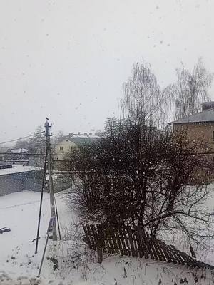 A post by @__kupriynova__ on TikTok caption: #снегопад #погода #снегвапреле 