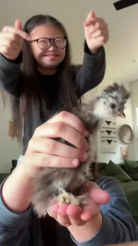 A post by @worthyandkal on TikTok caption: our mom got chicks
