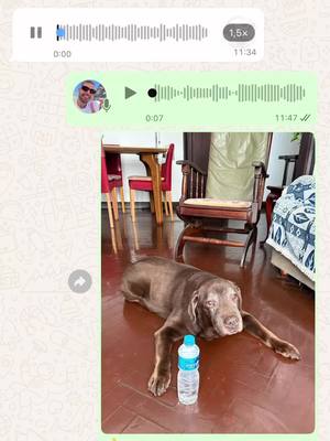 A post by @matheuscosta on TikTok