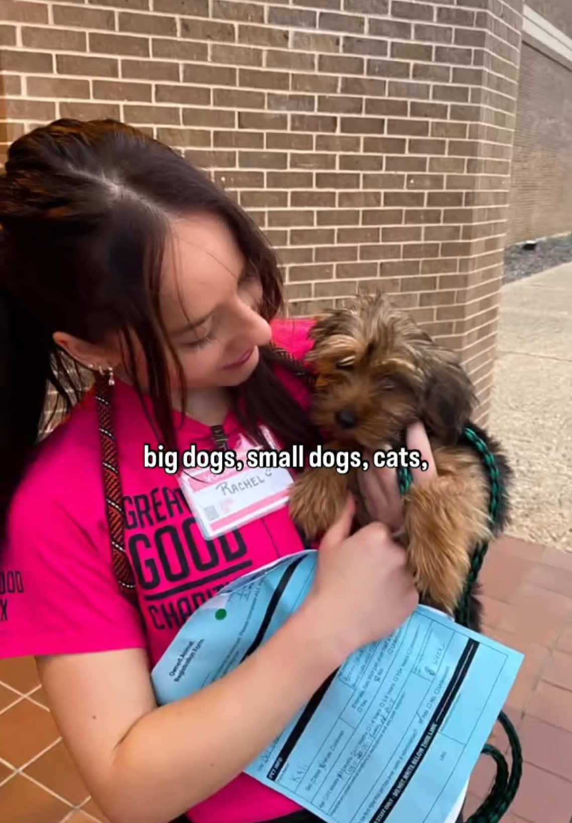 A post by @rachellhague on TikTok caption: What @Greater Good Charities is doing with these spay and neuter clinics is absolutely incredible!  @Austin Animal Center Covering the cost of vaccines, microchips and Spay/Neutering for hundreds of families across the nation, it makes such a huge difference not just for controlling overpopulation, and reducing over crowding in the shelters, but also giving every pet a chance at a healthier, happier life.  This experience is always so cool to see the behind the scenes of. 🐾❤️‍🩹 (even though I’m a bit squeamish when it comes to the actual surgery part. 😵‍💫)  📍Austin Peeps the free clinic will be in town April 3rd - April 7th if you missed it you can follow along Austin Animal Center Page for the next one! 