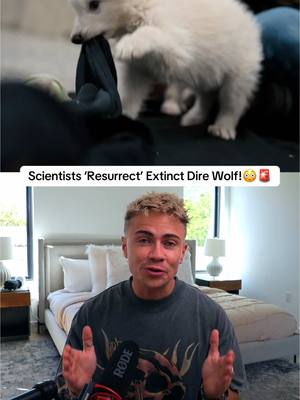 A post by @dylan.page on TikTok caption: What do you guys think about this!?😳🤔