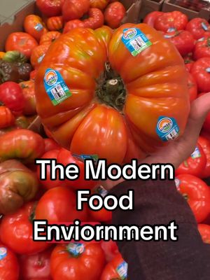 A post by @ravmalik on TikTok caption: You are what you eat … right?