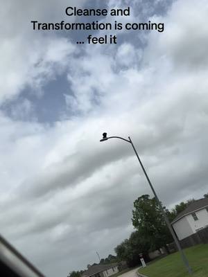 A post by @killemkhaos on TikTok caption: #killemkhaos #divinefeminineenergy 