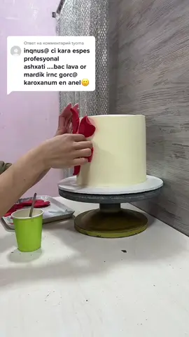 A post by @dinagog on TikTok caption: Ответ пользователю @tyoma Դե ասեք տենամ😂ես չեմ դուք եք🫣