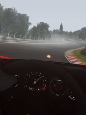 A post by @dmcgar on TikTok caption: When your cat gate crashes the Nurburgring. #meow #pablo #animals #cat #catsoftiktok #fyp #fypシ #porsche 
