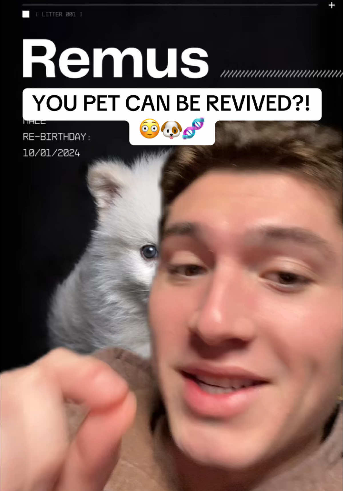A post by @colewherld on TikTok caption: can ya’ll reboot my dog? 🙏 #remus #crypto #web3 #defi #solana #memecoins #memecoin #cryptotrading #cryptonews #cryptoinvesting #sol #web3crypto 