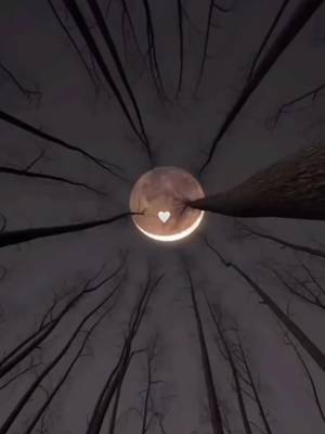 A post by @jlynsky23 on TikTok caption: ¿Que si me encanta la noche?✨ 