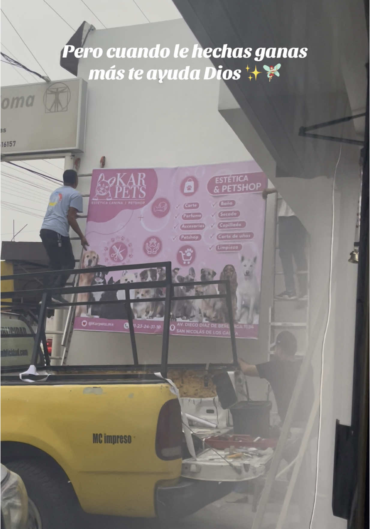 A post by @karlagarcia48 on TikTok caption: Siempre confíen en Dios y tenga fe ✨ @KARPETS #emprender #esteticacanina #petshop #nupec #ventaalimentoperros #mascotas #negocio #fyp 