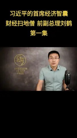 A post by @didtheday on TikTok caption: 习近平的首席经济智囊，财经扫地僧，前副总理刘鹤 第一集 #国务院副总理 #刘鹤 #习近平 #中央财经委员会