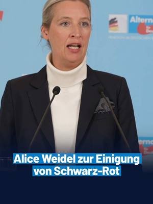 A post by @afdfraktionimbundestag on TikTok caption: Der #Koalitionsvertrag ist eine Kapitulationsurkunde der #Merz-CDU!