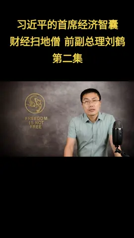 A post by @didtheday on TikTok caption: 习近平的首席经济智囊，财经扫地僧，前副总理刘鹤 第二集 #国务院副总理 #刘鹤 #中央财经委员会 #中央财经领导小组 #习近平 #政治局委员 #政治局常委