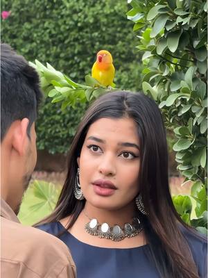 A post by @afghan_stars25 on TikTok caption: دلم بردی تو جانا 😍😂🤭  #afghanstars25 #mobin #maryam #tiktok #افغانستان #herati #song #funny #comedy 