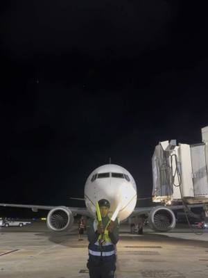 A post by @j.luis___ on TikTok caption: Aviation is perfect ✈️