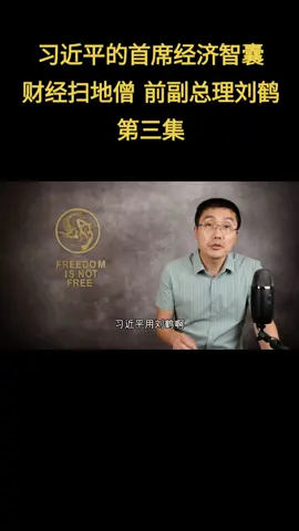 A post by @didtheday on TikTok caption: 习近平的首席经济智囊，财经扫地僧，前副总理刘鹤 第三集 #国务院副总理 #刘鹤 #中央财经委员会 #中央财经领导小组 #习近平 #政治局委员 #政治局常委 #川普 #关税战 #贸易战