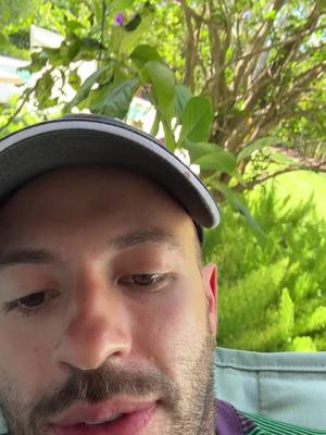 A post by @ferxxo444 on TikTok caption: ☕️💚