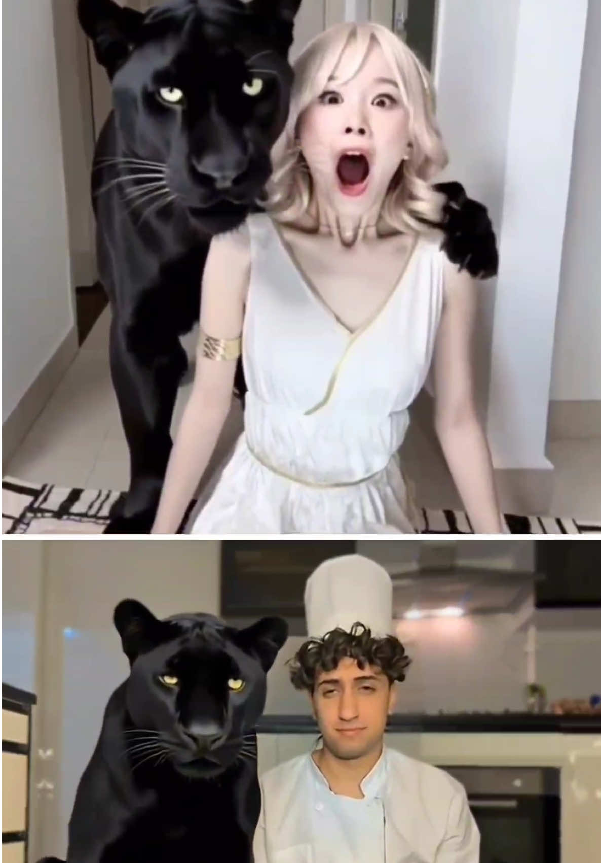 A post by @linguini on TikTok caption: ChangDory & my panther 🐆  #ratatouille #ometv #foryou #panther #fyp #memes #challenge 