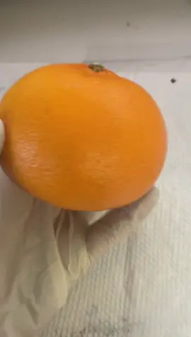 A post by @venuslovegore on TikTok caption: Orangeceptionnnn#tattoo #tattooapprentice #fypchallenge