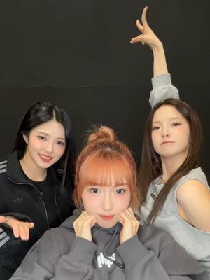 A post by @official_kep1er on TikTok caption: 👉🐰🐿🦊👈 #Kep1er #케플러