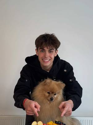 A post by @kylethomas on TikTok caption: It took me years to find a dog food my pups actually love but without the tummy troubles. Then I found Edgard & Cooper, real, fresh meat in every recipe. Use KYLE20 for 20% off your first shop at edgardcooper.com. Your dog will thank you. #AD #EdgardCooper 🐶❤️