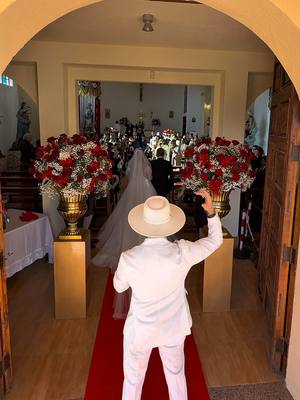 A post by @joysaxlive on TikTok caption: PART 2 “It’s just my Hallelujah” Wedding Ceremony - Bride Entrance Special Guest Joy Sax Available worldwide  Based in Calabria - Italy #joysax #hallelujah #saxophone #saxophone🎷 #weddingceremony #wedding #weddingday #bride #brideentry 