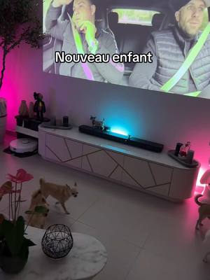 A post by @thewalkinkdead_life on TikTok caption: C’est pas mal comme ça @𝑻𝒉𝒆𝑾𝒂𝒍𝒌𝑰𝒏𝒌𝑴𝒖𝒎 #couple #maison 