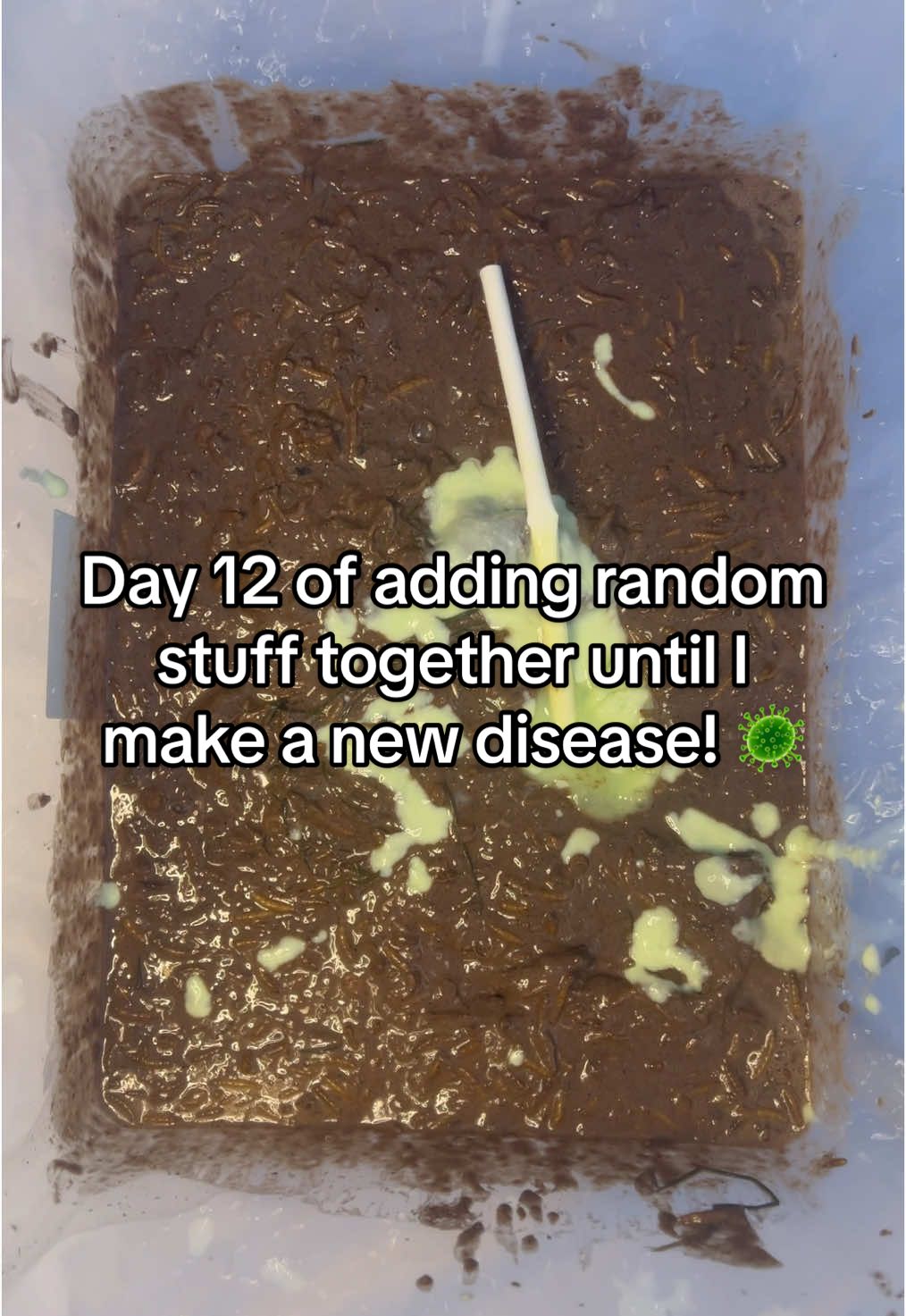 A post by @disease.box on TikTok caption: Covid test on day 15 🧪🤢 | #experiment #science #box #disease #community #fyp #diseasebox #day12 