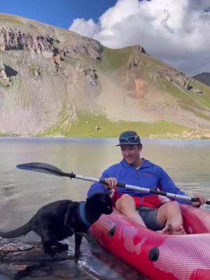 A post by @backpackingkitty on TikTok caption: Simons traveled to more countries than me! 🐈‍⬛🌎 #cat #catsoftiktok #Bestfriend #catlover #adventure #nature