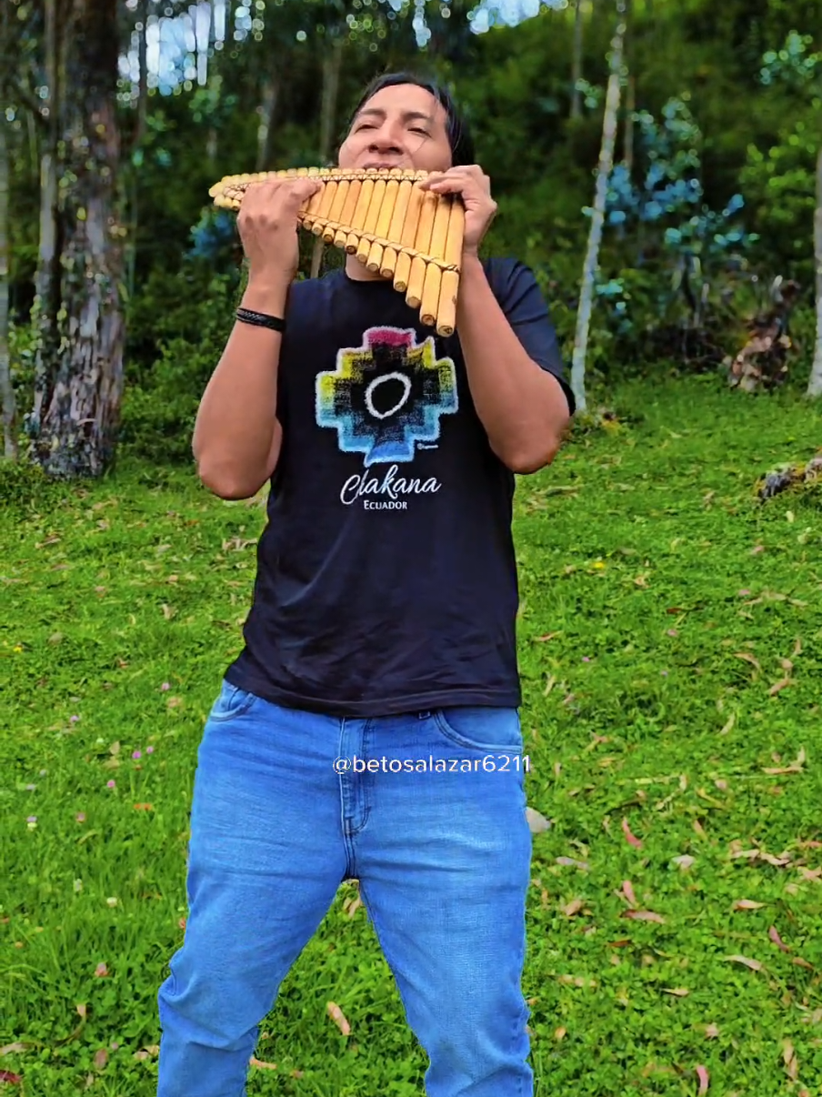 A post by @betosalazar6211 on TikTok caption: El pastor solitario