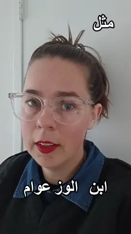 A post by @dutch_arabic_club on TikTok caption: #تعلم_هولندية #هولندا #nederlands #عربي #تعلم #النادي_الهولندي_العربي 