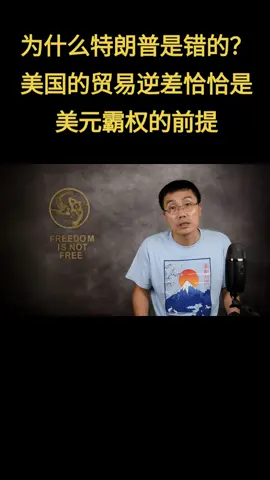 A post by @didtheday on TikTok caption: 为什么特朗普是错的？美国的贸易逆差，恰恰是美元霸权的前提 #川普 #特朗普 #关税战 #贸易战 #关税 #贸易逆差 #美元霸权 #美债 #制造业转移 #美股