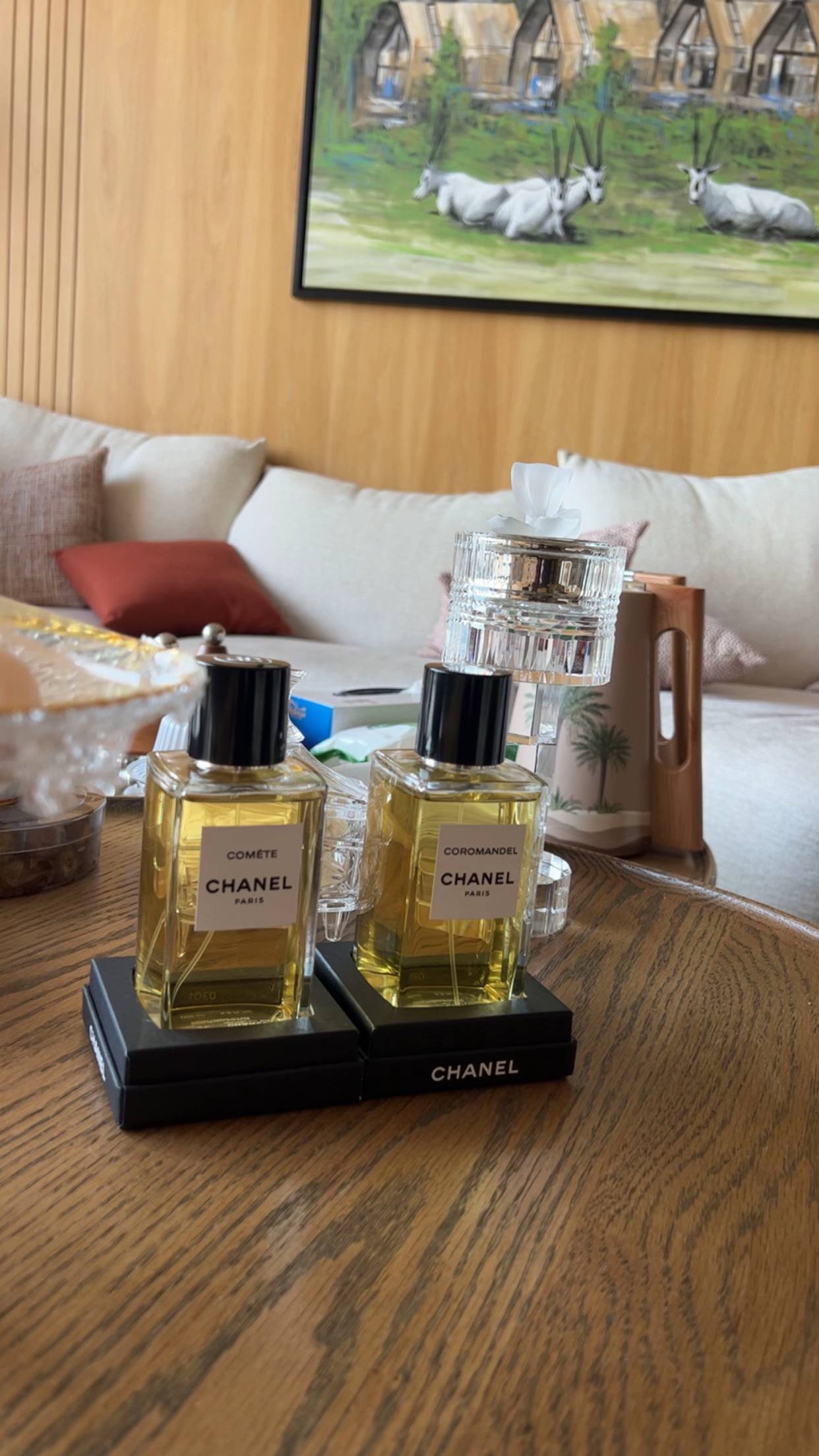 A post by @ on TikTok