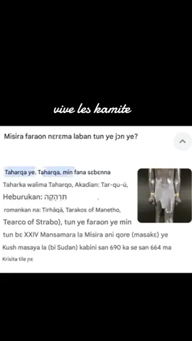 A post by @leroibiton on TikTok