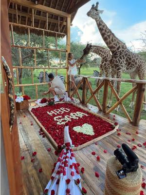 A post by @saraaalwari on TikTok caption: 🦒♥️