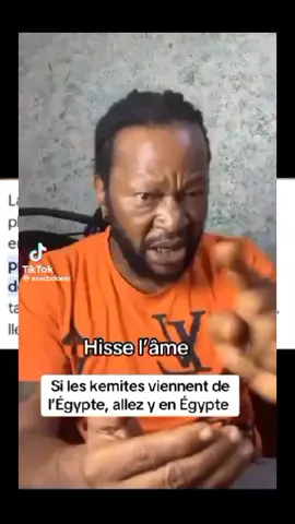 A post by @leroibiton on TikTok caption: vive les farafinya 