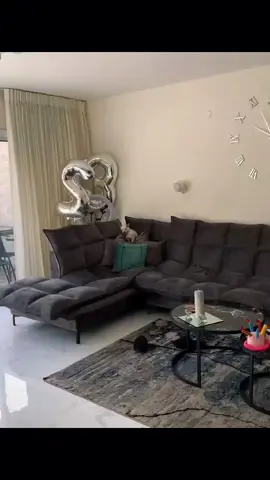 A post by @dogg_nikki on TikTok caption: why is niki hidding 😂 #pet #foryou #PetsOfTikTok #fypツ #chihuahua #dog 