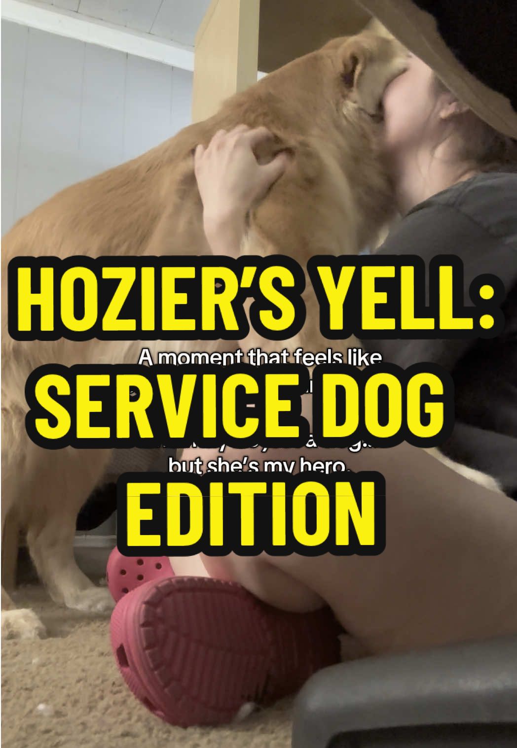 A post by @leviatyourservice on TikTok caption: Messy room and bad angle bc I had like 3 seconds to set the camera up 🌸 #servicedog #goldenretriever #hozier #blossomatyourservice 